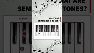 Whats the Difference Tones vs Semitones [upl. by Nolubez114]