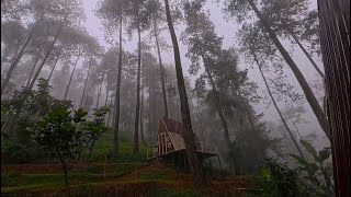 🔴 Rain and Thunder Sounds 247  Thunderstorm for Sleeping  Pure Relaxing Vibes  Calming Rain [upl. by Merrie]