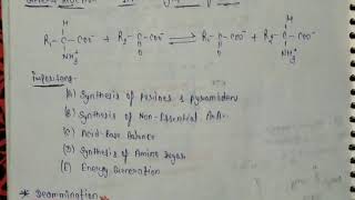 Transamination amp Deamination [upl. by Sissel]