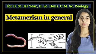 Metamerism in general II Zoology II B Sc [upl. by Eceertal]