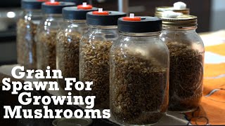 How to Make Grain Spawn For Growing Mushrooms [upl. by Evangelin]