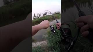 Lurefishing the snakefishlurefishing fishing fishingvideo lure fish [upl. by Sheree]