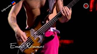 Red Hot Chili Peppers  Emit Remmus  Live in Chorzów [upl. by Noicpecnoc397]