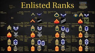 US Military All Branches ENLISTED Ranks Explained [upl. by Fisuoy655]