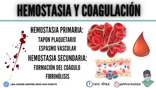 Hemostasia y Coagulación Tapón plaquetario Mecanismo general Vía intrínseca y extrínseca [upl. by Sheba374]