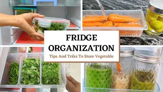 Ultimate FRIDGE ORGANIZATION  Indian small Fridge Organization  tips to store Vegetable longer [upl. by Cori]