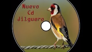 Nuevo Cd Jilguero Educación Noveles  2014 [upl. by Admana]