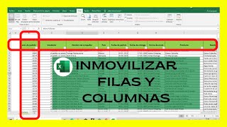 COMO INMOVILIZAR COLUMNAS Y FILAS EN EXCEL AL MISMO TIEMPO [upl. by Kersten889]