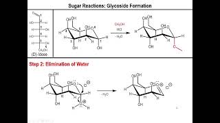 Lec10  Alkylation and Acetylation of Sugars [upl. by Nnylesor]