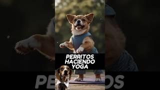 Perritos haciendo Yoga perros amorperruno perroamor [upl. by Tica]