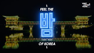 Feel the Nightbam of KOREA VisitKoreaYear [upl. by Thacker306]