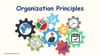 Organization principles  Principles of Organization [upl. by Anaer]