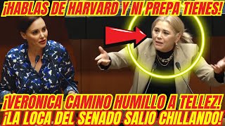 ¡BOFETADON QUE SE LLEVÓ LA LOCA DEL SENADO ¡VERONICA CAMINO LA HIZO TRIZAS [upl. by Way]