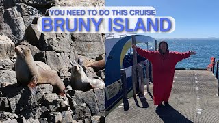 OMG this Cruise on Tasmania’s BRUNY ISLAND   One day wasnt long enough to explore everything [upl. by Jacobson]