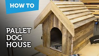 How to build a dog house with recycled pallets [upl. by Powers884]