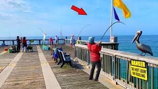 Caught the Biggest One of the Year from the Gulf Pier Catch Clean amp Cook [upl. by Hewett978]