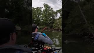 Buzzbait Blowup on a Perfect Cast fishingshorts kayakbassfishing kayakfishing bassfishing fish [upl. by Ancel247]