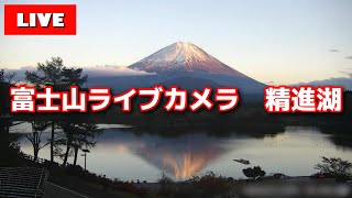 【LIVE】精進湖からの「富士山ライブカメラ」 quotmount fuji live cameraquot from Lake Shojiko [upl. by Katya376]