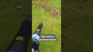 Using the Ego blower today See what you think gardeningtools blowers garden leaves autumn me [upl. by Lubow831]