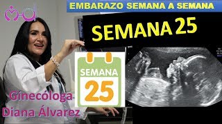 SEMANA 25 EMBARAZO SEMANA A SEMANA POR GINECOLOGA DIANA ALVAREZ [upl. by Kylstra]