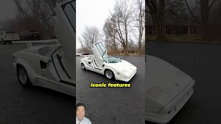 Whats Inside a Lamborghini Countach [upl. by Alegnad]