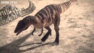 Carcharodontosaurus  Planet Dinosaur  Episode 1  BBC [upl. by Aryajay449]