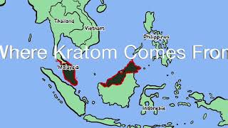 Where Kratom Comes From [upl. by Avik]