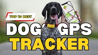 Top 10 Best GPS Pet Trackers in 2024  Cheapest GPS Dog Collar Reviews  DogDingDa [upl. by Pulchi213]