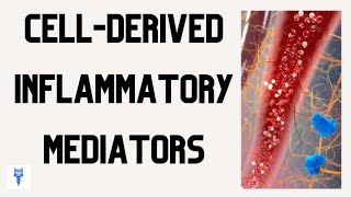 CELLDERIVED INFLAMMATORY MEDIATORS  Functions amp Roles in the Inflammatory Response [upl. by Nic925]