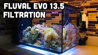 Fluval Evo 135 filtration UV sterilizer and 40 breeder project [upl. by Kcitrap]