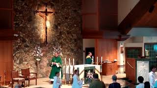 St Francis of Assisi Belchertown Live Stream [upl. by Ysset610]