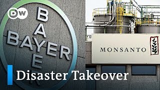 Bayers acquisition of Monsanto is becoming a disaster  DW News [upl. by Lerret]