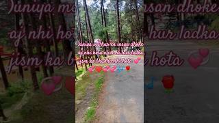 vlogvideosong themusicsamraat music ranikhet uttrakhand vinshrmhader shortsvideo viralvideo [upl. by Eidnam735]