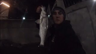 Late Winter Striped Bass Fishing Providence River Rhode Island [upl. by Ardnwahsal]