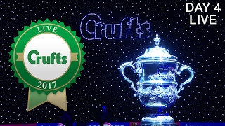 Day 4 Live  Crufts 2017 [upl. by Antoni]