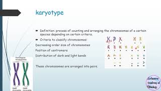 Diploid and haploid cells  karyotypes  Grade 12 LS911S [upl. by Ulah]