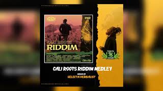 Cali Roots Riddim Mix  full  by SELECTA HERBALIST 2020 [upl. by Nitza]