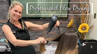 How To Professional Blow Dry With No Frizz  Salon Secrets and Techniques [upl. by Fee]