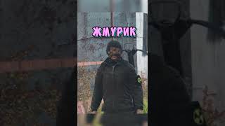 Несчастный случай в Dayz Stalker RP [upl. by Marianne524]