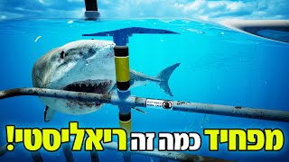 Subside  אחד ממשחקי VR עם הגרפיקה הכי מדהימה שתראו אי פעם [upl. by Rudiger]