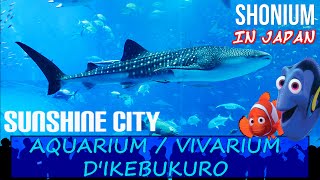 Shonium in Japan  31 ► SUNSHINE CITY  Aquarium amp Vivarium de Ikebukuro [upl. by Euqinimod]