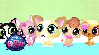 Littlest Pet Shop  Blythe amp Bunny Webisode [upl. by Nohtahoj]