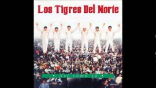 Enseñate a respetar Los Tigres del Norte [upl. by Thorndike926]