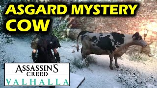 Asgard Mystery Cow  Milk of Humankind World Event  Assassins Creed Valhalla [upl. by Letnohc]