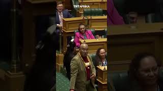 Haka Protests In New Zealand Parliament [upl. by Laurinda889]