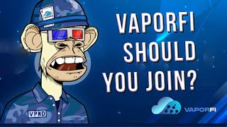 VaporFi Nodes Updated  Should You Join [upl. by Nnayelsel433]