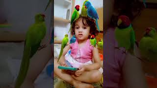 Ma tota ma tota 🦜🐦 preschool babycartoon kidsvideos toddlers babysongs [upl. by Ssilb]