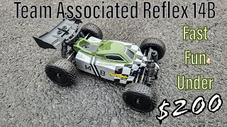 Team Associated Reflex 14B  Fun Brushless RC Under 200 [upl. by Ddej]