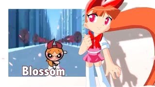 The Powerpuff Girls  Odd Bubbles Out  Cartoon Network [upl. by Airolg]