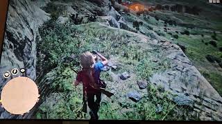 Red Dead Redemption Online Pelle Pearl not spawning [upl. by Aziram81]